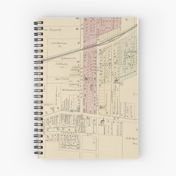 Item preview, Vintage Map of Union NY (1876) designed and sold by BravuraMedia.