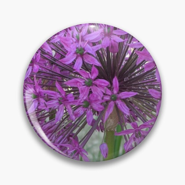 Item preview, Star Burst designed and sold by SaltwaterImages.