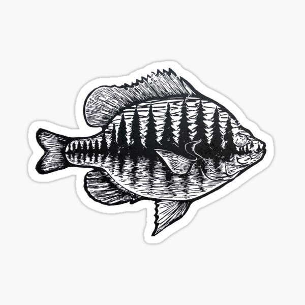 Bluegill Stickers for Sale, Free US Shipping