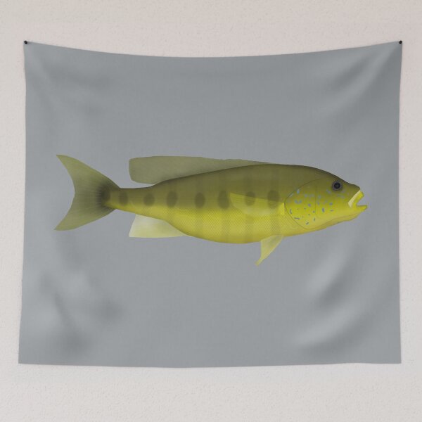 Item preview, Giant Cichlid designed and sold by fishfolkart.