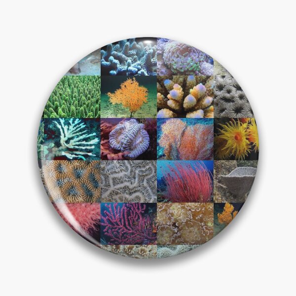 Item preview, Coral designed and sold by Montage-Madness.