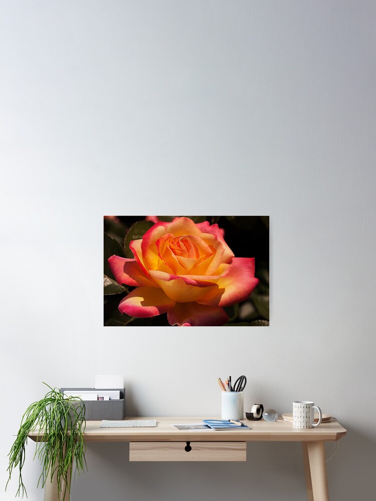 Imagen 2 de 3, Póster con la obra Beauty, diseñada y vendida por hippoking.