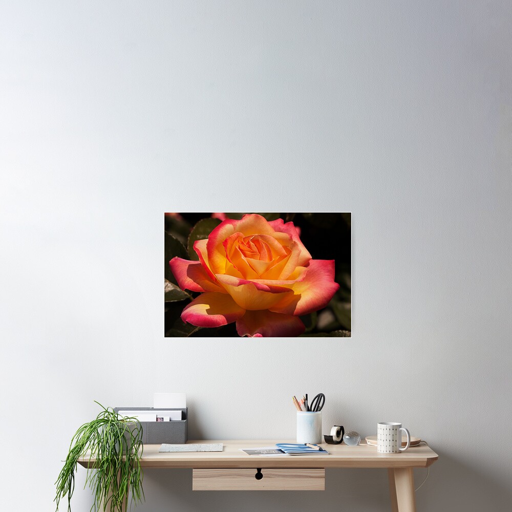 Vista previa del artículo con la obra «Póster», diseñado y vendido por hippoking.