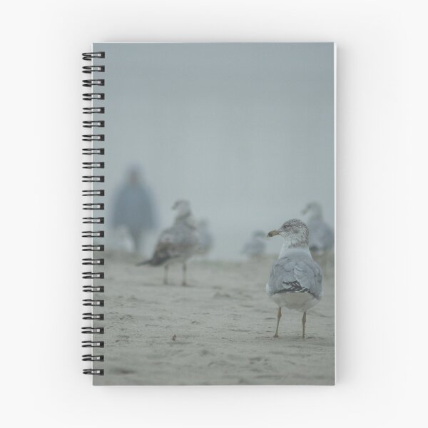 Item preview, California gull 3 designed and sold by KensLensDesigns.