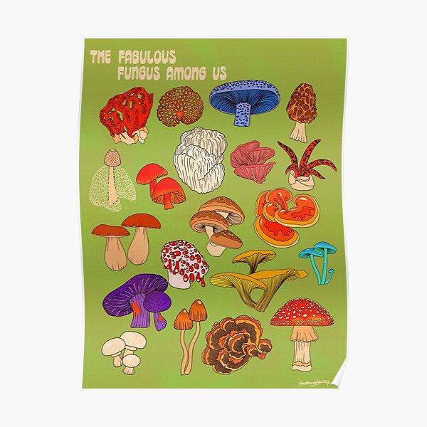 Fungus among us Poster