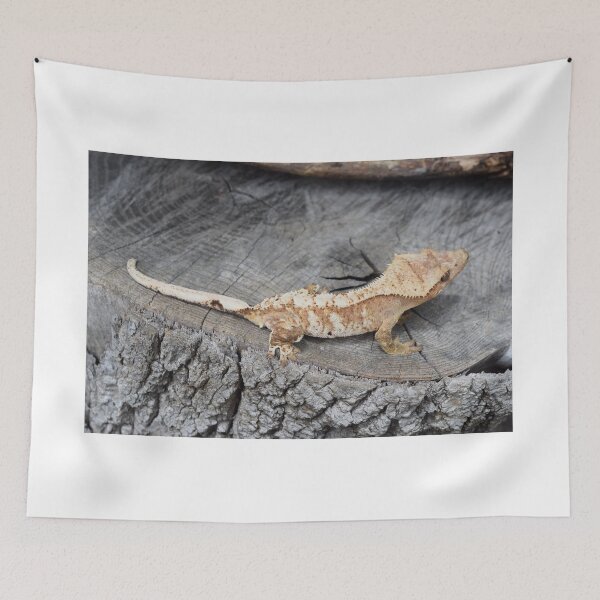 Item preview, Gecko Crestado Naranja y Crema designed and sold by mgnzupi.