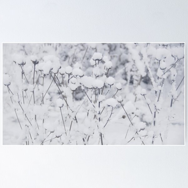 Item preview, plants in winter designed and sold by amekamura.