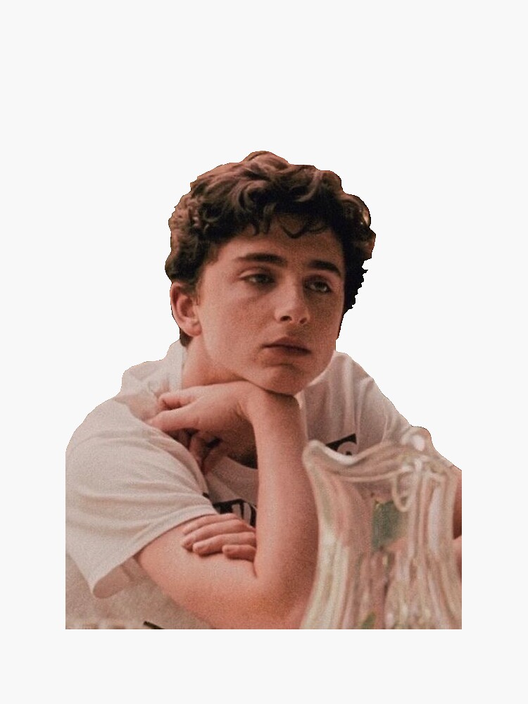 timothee chalamet shirt call me by your name