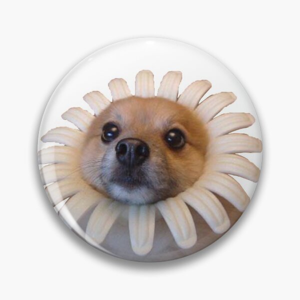 Item preview, Flower Dog Meme designed and sold by ktthegreat.