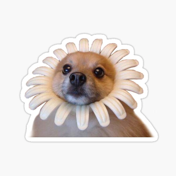 Item preview, Flower Dog Meme designed and sold by ktthegreat.