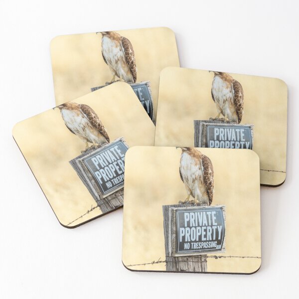 Item preview, Private Property designed and sold by Jarrett720.