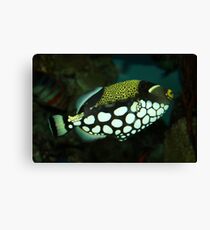 Waterproof Makeup Canvas Print