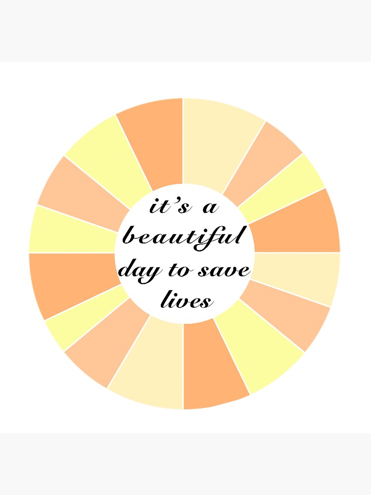 It S A Beautiful Day To Save Lives Sticker Sticker By Gracecarrello Redbubble