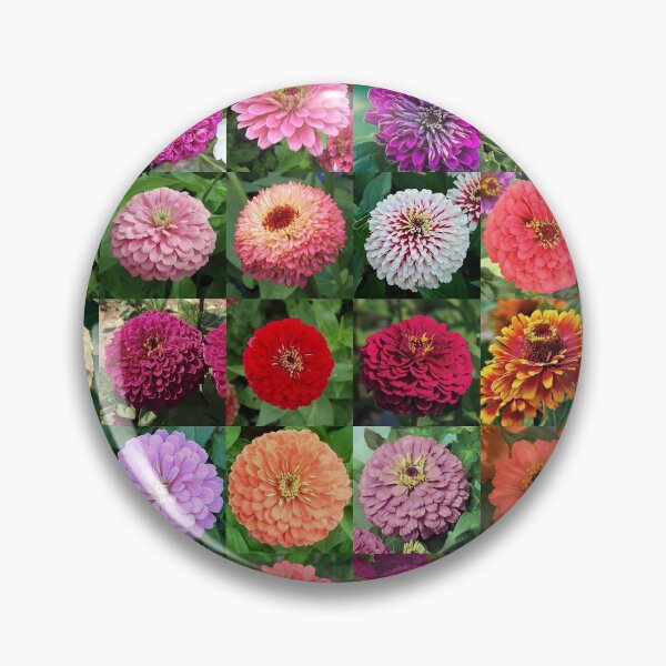 Item preview, Zinnia designed and sold by Montage-Madness.