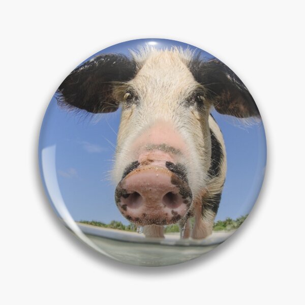 Item preview, Pigs on the Beach designed and sold by Caitlin Chock.