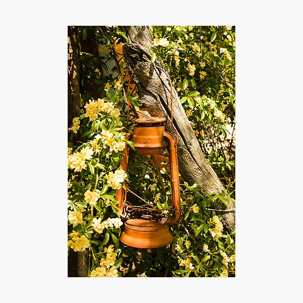 Forgotten Lantern Photographic Print