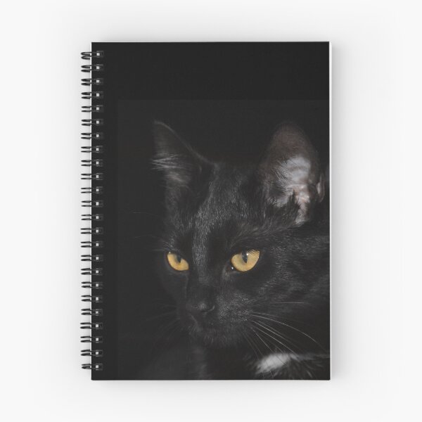 Artikelvorschau, Schwarze Katze aus der Dunkelheit entworfen und verkauft von AABUZ.