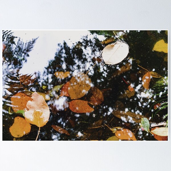 Aperçu de l'œuvre Feuilles, reflet et tranquillité créée et vendue par AlejandroM55.