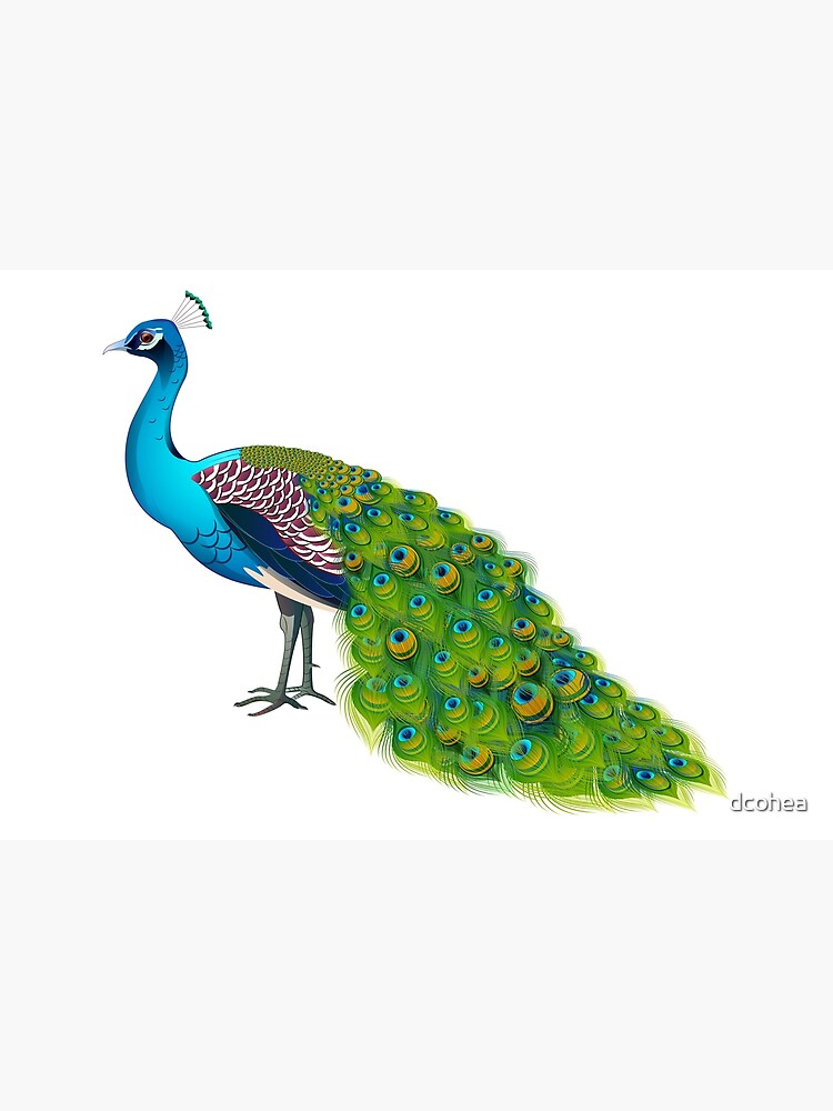 Teal Peacock Graphic by dcohea