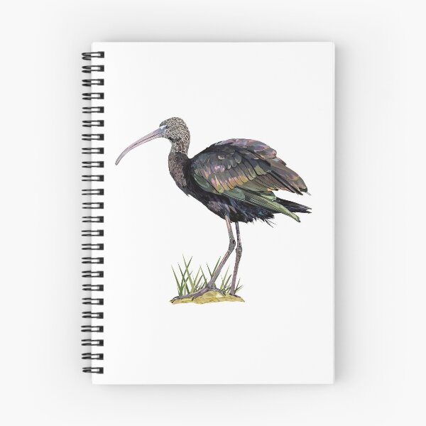 Artikelvorschau, ibis entworfen und verkauft von obscurite.
