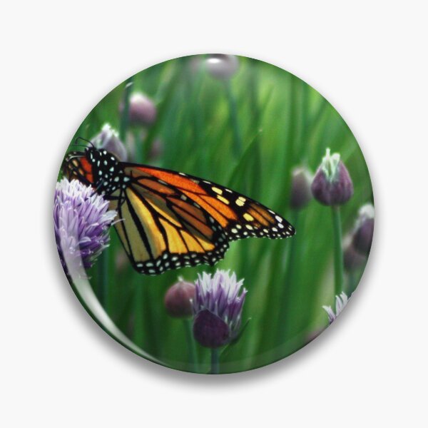Item preview, Monarch on Chives designed and sold by Johnny Furlotte.