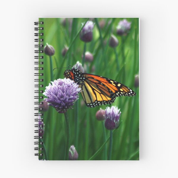 Item preview, Monarch on Chives designed and sold by Johnny Furlotte.