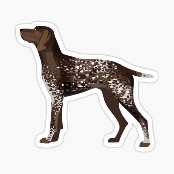German Short Haired Pointer Glossy Sticker