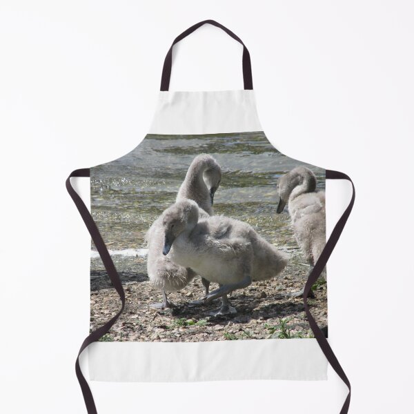 Item preview, Cygnets first steps designed and sold by Designs12.