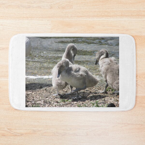 Item preview, Cygnets first steps designed and sold by Designs12.
