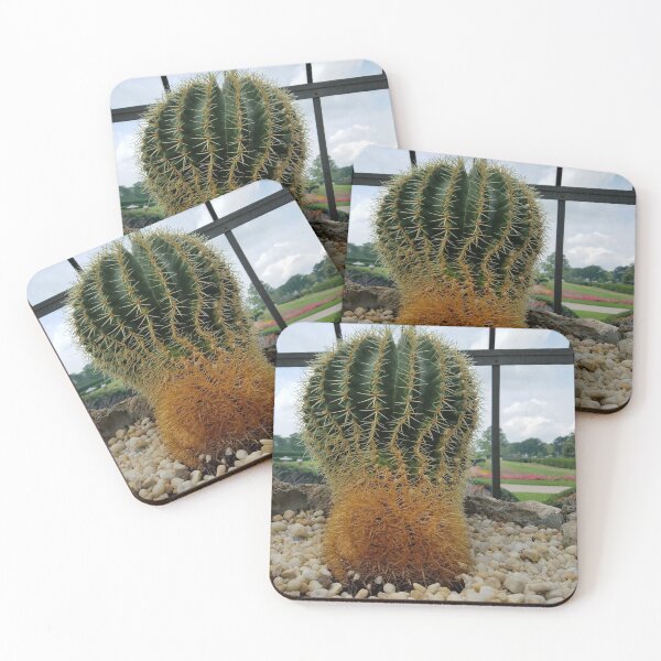 Item preview, Round Cactus designed and sold by hurleygirlie333.