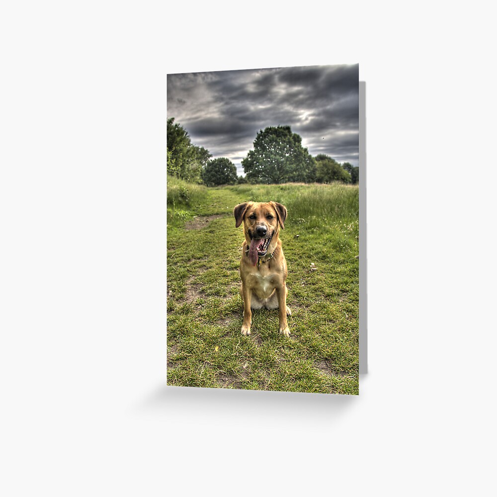 Chloe HDR 001 Greeting Card