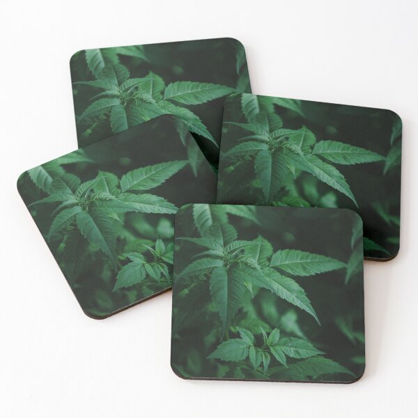 Item preview, Leaves Of Cannabis designed and sold by Vaultora.