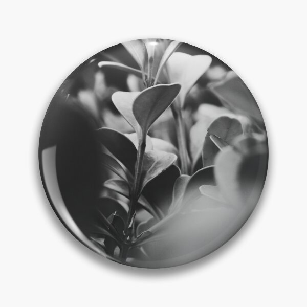 Aperçu de l'œuvre tranquillité au milieu de la nature en noir et blanc créée et vendue par AlejandroM55.