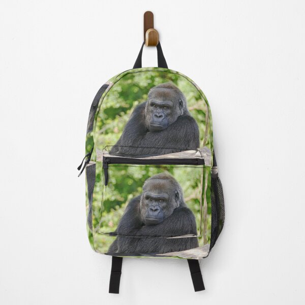 Item preview, r607 / finition 2022 : Gorilla atitude and Expression of a human - Okaio Créations Olavia - Olao designed and sold by o.okaïo.