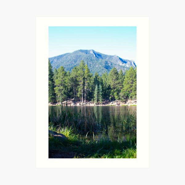 Pine Valley Art Print