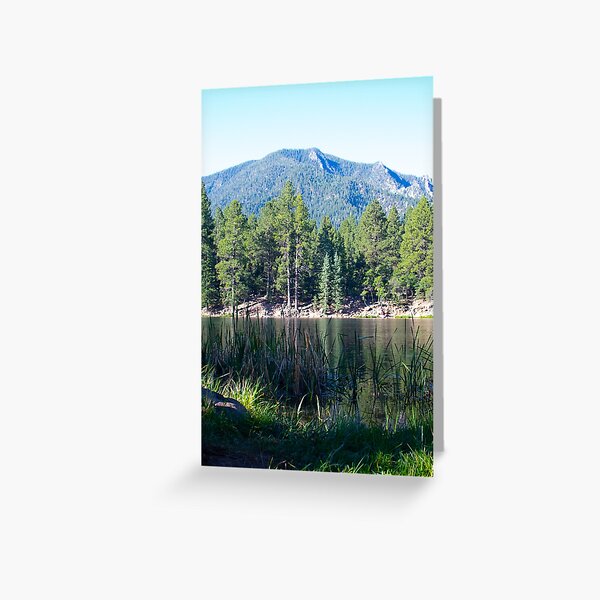 Pine Valley Greeting Card