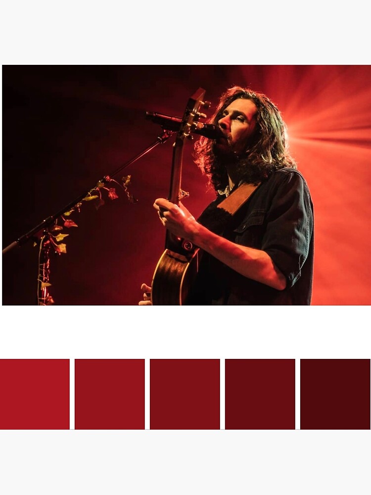 Hozier Pantone Color Palette Premium Matte Vertical Poster sold by