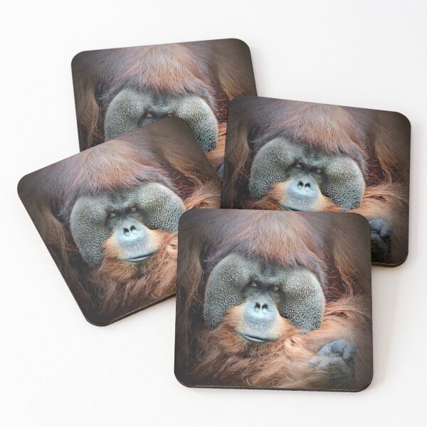 Item preview, Orangutan  designed and sold by Savannah Gibbs.