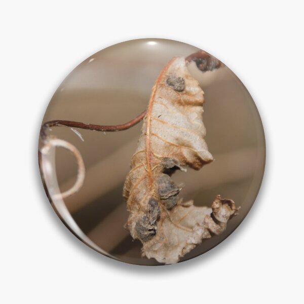 Item preview, curly leaf designed and sold by KensLensDesigns.
