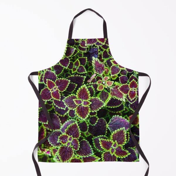 Item preview, Succulent Patterns designed and sold by MPowerTeez.
