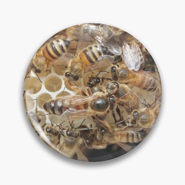 Item preview, Busy Bees designed and sold by joeballs1.