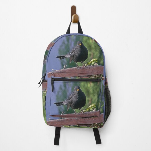 Item preview, r1382/ maj - The Merle/blackbird Story (c)(t) 01 by Olavia-Olao / Okaio Créations designed and sold by o.okaïo.
