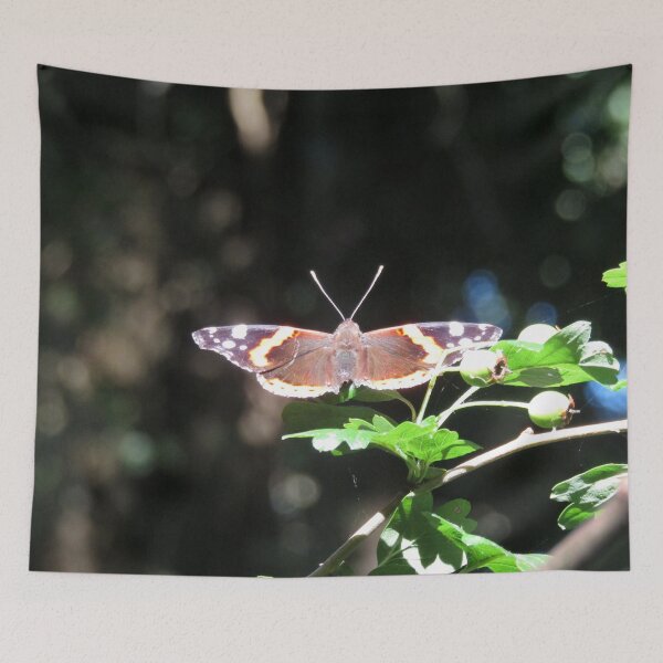 Item preview, Red Admiral butterfly designed and sold by joshuarainbird.