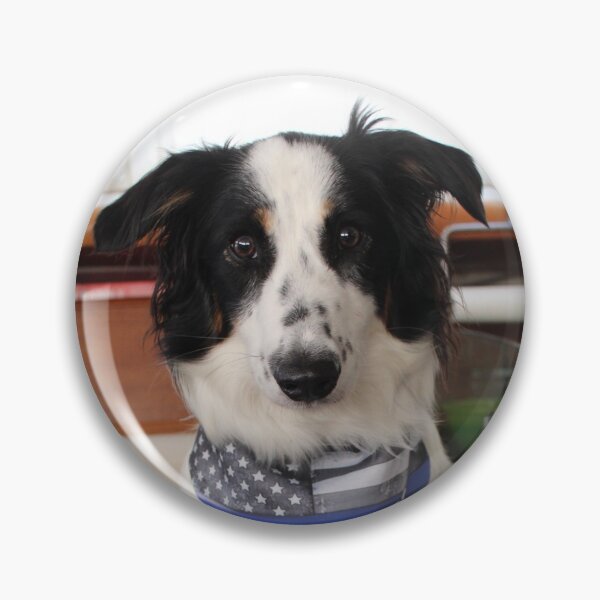 Item preview, Skipper Backing the Blue designed and sold by banditandkoko.