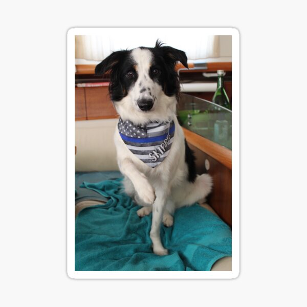 Skipper Backing the Blue Sticker