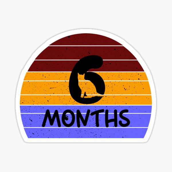 6 Months Stickers | Redbubble