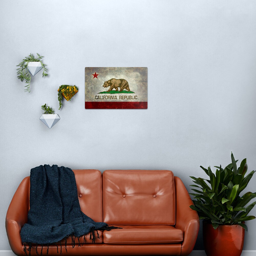 California Republic state flag - Vintage retro version Metal Print