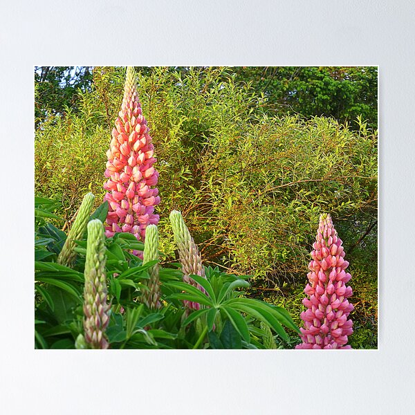 Item preview, Waiting To Bloom designed and sold by Fara.