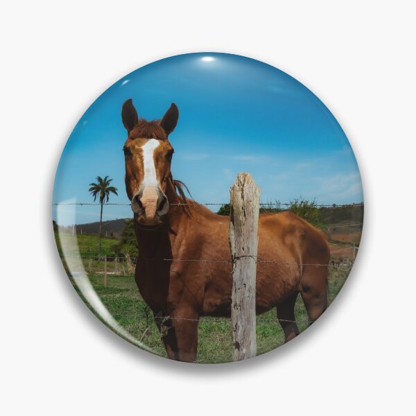 Item preview, Horse designed and sold by anafrancisconi.