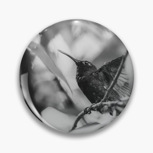 Item preview, Hummingbird designed and sold by anafrancisconi.